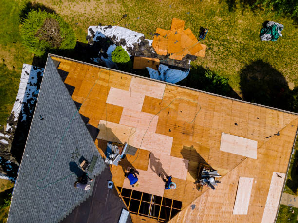 Best Roof Waterproofing Services  in Mcleansboro, IL