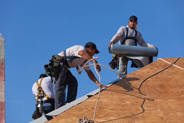 Best New Roof Installation  in Mcleansboro, IL