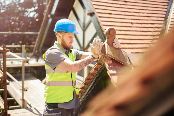 Best Roof Leak Repair  in Mcleansboro, IL