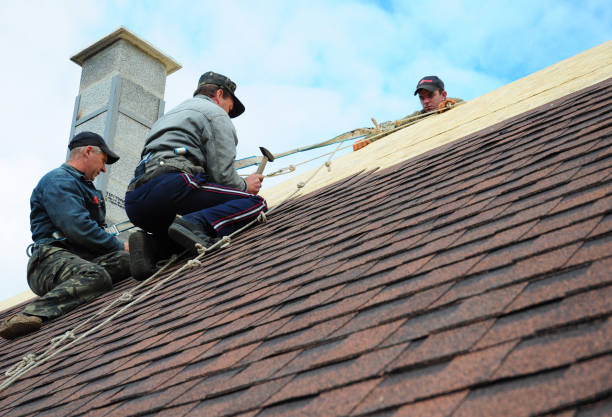 Best Local Roofing Companies  in Mcleansboro, IL